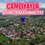 Çamlıyayla Şehirler Arası Nakliyat